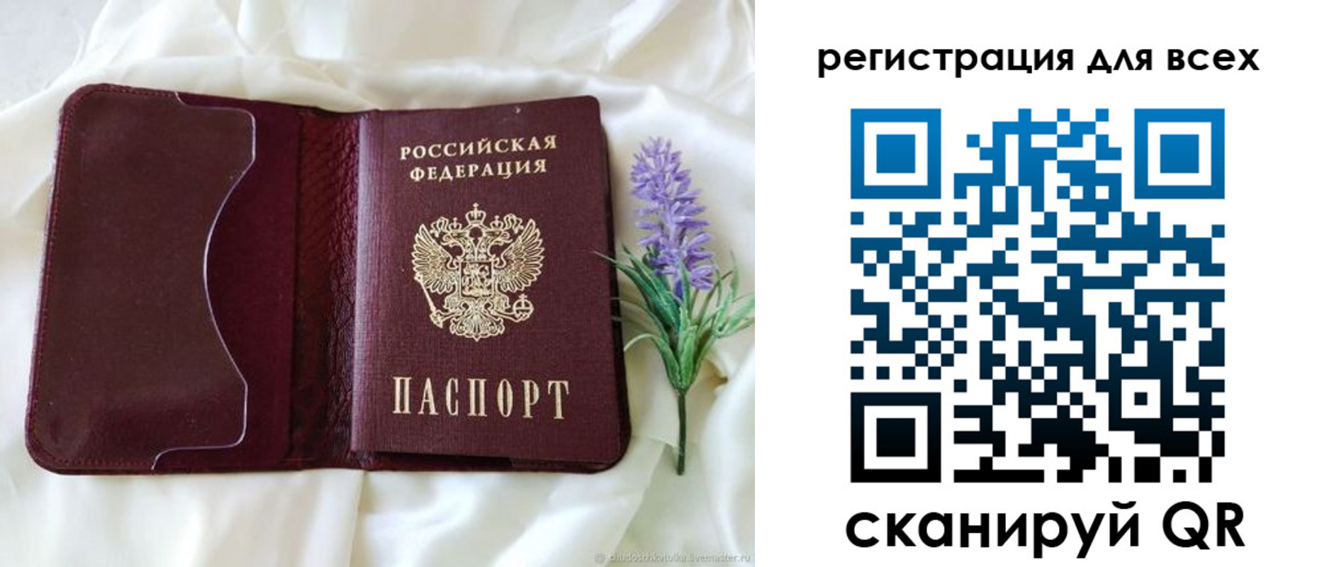 прописка 2025 в Светогорске